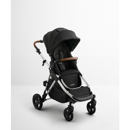 Single-to-Double Stroller 3.0