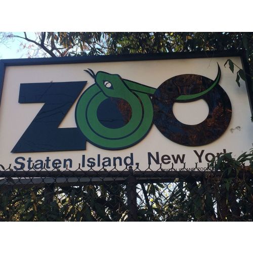 A day trip to the Zoo. Any zoo :)