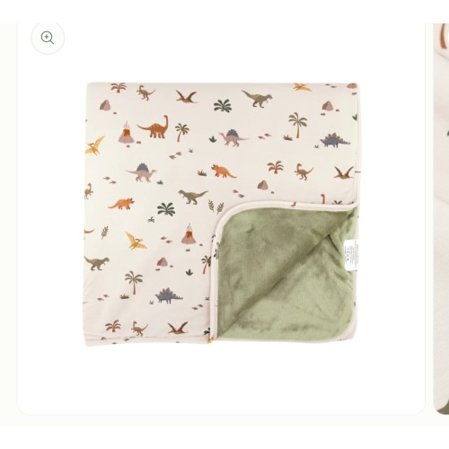 Prehistoric Dinosaurs Toddler Blanket – Brave Little Ones
