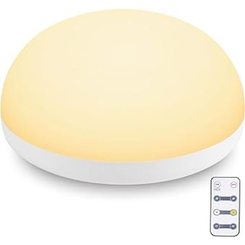 Baby Night Light,Touch Control Night Light for Baby Nursery with Remote and Timer - Rechargeable and Portable Night Light for Breastfeeding,Dimmable Nursery Light with 2 Color Modes