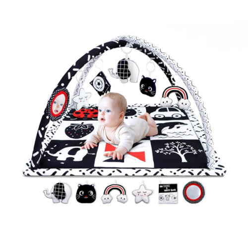 Black and White Baby Gym Play Mat with 6 Toys Tummy Time Activity Mat for Babies 0-6 6-12 Months High Contrast Baby Gyms & Playmats Sensory Toys Newborn Brain Development Infant Play Mat Baby Gifts