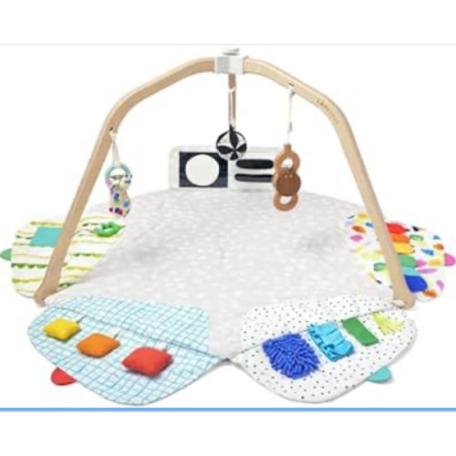 LOVEVERY | The Play Gym | Award Winning For Baby , Stage-Based Developmental Activity Gym & Play Mat for Baby to Toddler