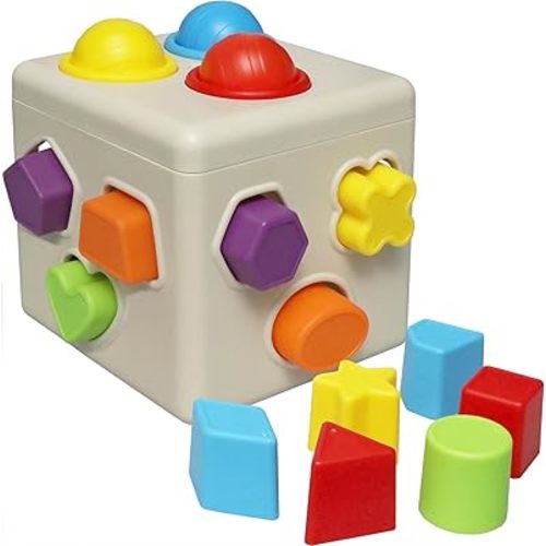 Kiddie Play Shape Sorter Learning Toys for Toddlers 16 pcs Baby Plastic Blocks Shape Sorting Cube