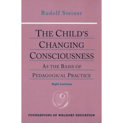 The Child's Changing Consciousness - Paperback