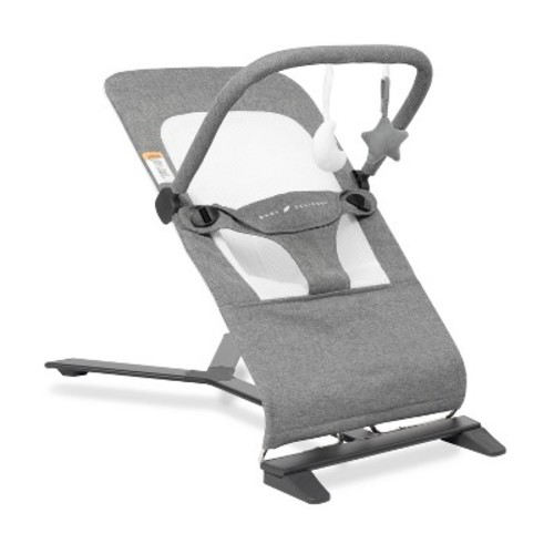 Baby Delight Alpine Deluxe Portable Bouncer, Color: Charcoal Gray