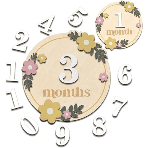 Baby Monthly Milestone Cards - Wooden Monthly Milestone Discs - Newborn Photography Props to Document Your Baby´s Growth - Baby Announcement Sign (B07)