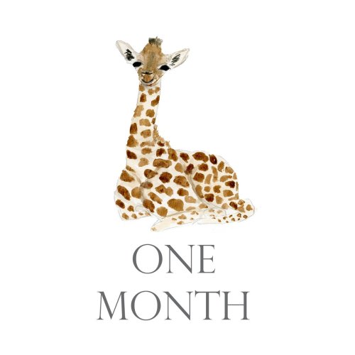 Baby Month Cards