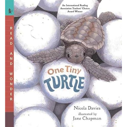 One Tiny Turtle: Read and Wonder