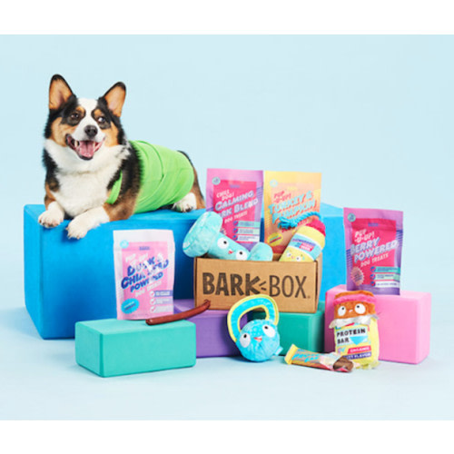 BarkBox Dog Toys & Treats Box