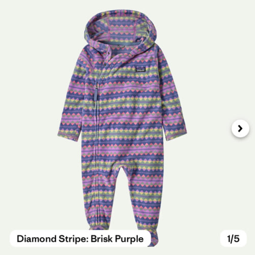 Patagonia Infant Micro D® Fleece Bunting