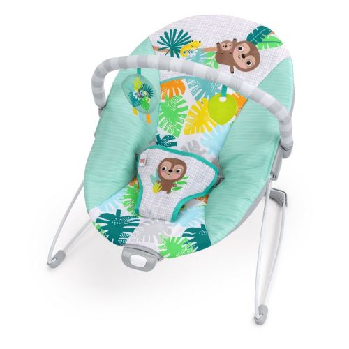 Bright Starts Vibrating Baby Bouncer - Green Floral Wonders