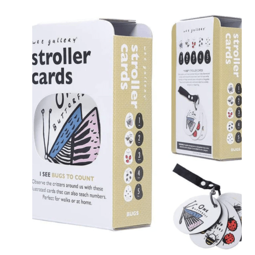 Stroller Cards - Bugs To Count