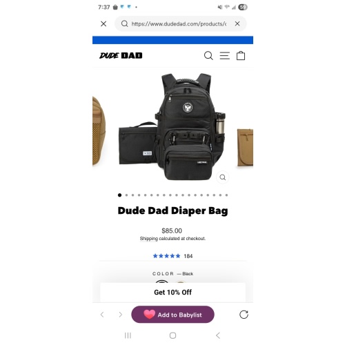 Dude Dad Diaper Bag