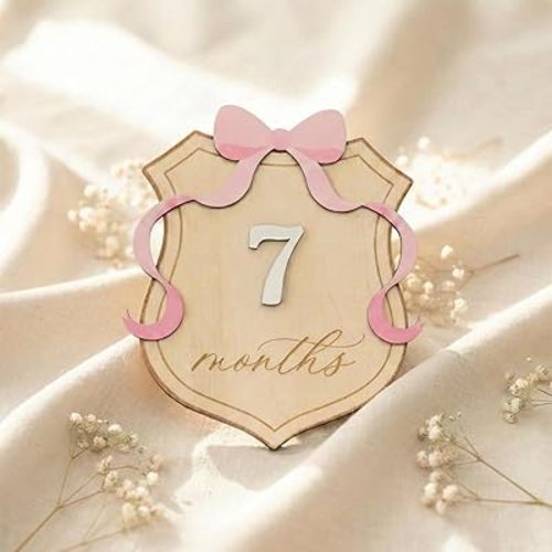 Baby Monthly Milestone Sign,1-12 Monthly Baby Milestone, Month Milestone Baby Girl, Baby Months Milestone, Newborn Photography Props Double-Sided (M05)
