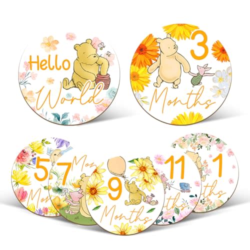 7 Pcs Winnie Baby Monthly Milestone Circles, Winnie Double Sided Baby Months Wooden Signs with Storage Bags, Baby Monthly Announcement Wooden Discs, Milestone Pictures of Your Newborn Boy & Girl