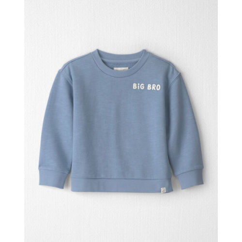 Toddler Boy Organic Cotton Big Bro Pullover - Little Planet | Carter's