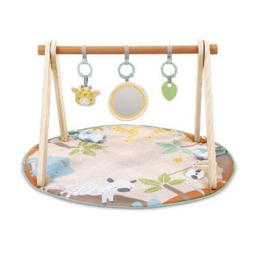 Ingenuity Wonder & Wood Toy Arch & Play Mat