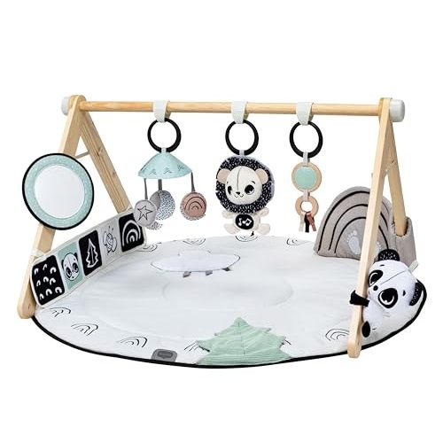 Tiny Love Luxe Developmental Gymini – Black & White Décor Collection, Black