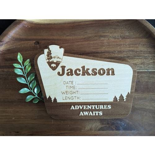 Personalized National Park Hospital Welcome Baby Birth Announcement Detail Wood Plaque Photo Prop Sign Design Trendy
