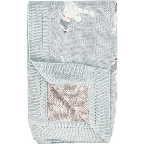 Creative Co-Op DF2527 40" L x 32" W Cotton Knit Baby Dog Blanket, Blue, Small