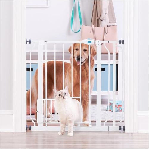 Extra Wide Walk Through Gate with Small Pet Door, Includes 4-Inch Extension Kit, Pressure Mount Kit and Wall Mount Kit,White