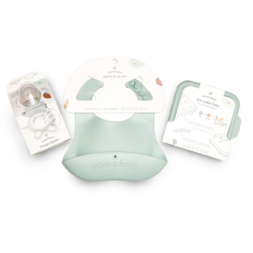 Little Explorer Kit - Fern