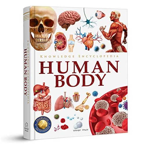 Knowledge Encyclopedia: Human Body (Knowledge Encyclopedia For Children)