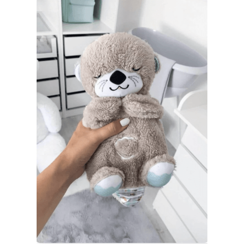 The Dreamy Otter – ALLENDE