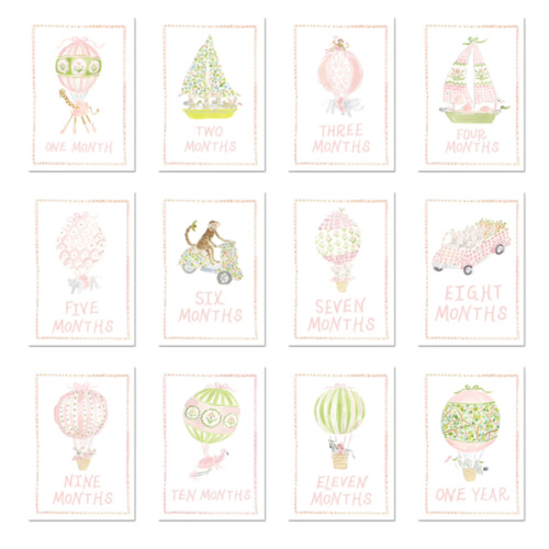 Baby Milestone Cards: Menagerie Pink Set (Restocking July 2025)