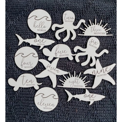 White Monthly Milestone Disc & Sea Animals for Baby Photos  - Etsy