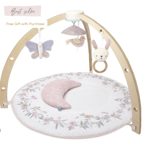 Baby Gym | Premium Baby Activity Gym | aden + anais