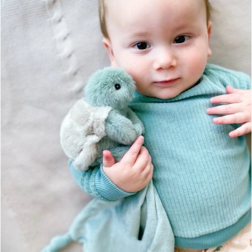 Taylor the Turtle Blankie