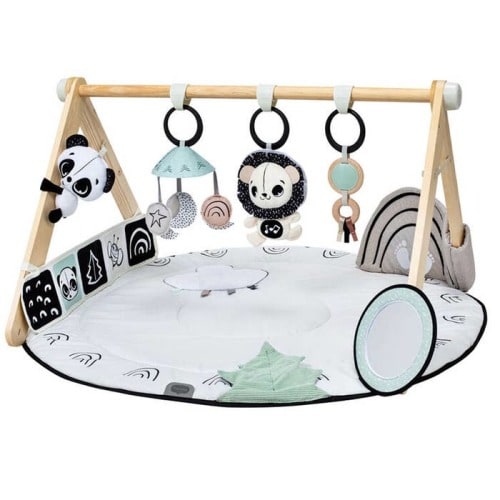 Black & White Decor Deluxe Gymini