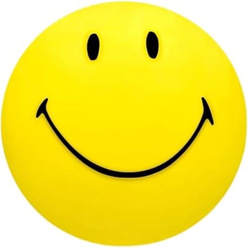 Night Light for Kids Smiley Face Lamp Light Birthday Gifts for Girls Boys Plastic Nightlight Portable Nursery USB Rechargeable Animal Night Lights for Baby Toddler Teen Bedrooms ( 23CM)