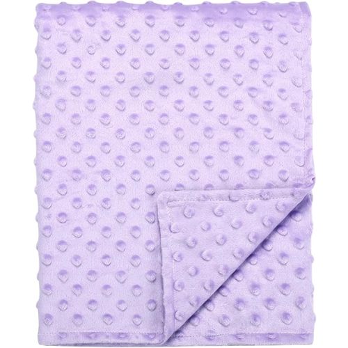 Baby Blanket for Girls, Soft Toddler Blanket 30 x 40 Inch, Newborn Blankets for Nursery, Stroller, Toddler Bed, Carseat, Double Layer, Purple