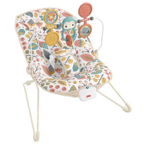 Fisher-Price & Elyse Knowles Baby’s Bouncer