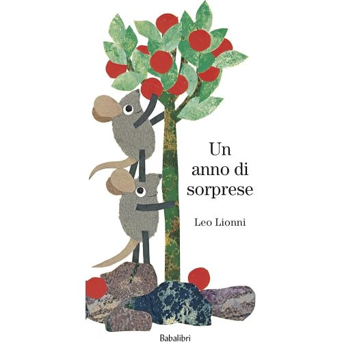 Un anno di soprese - Hardcover Italian Edition