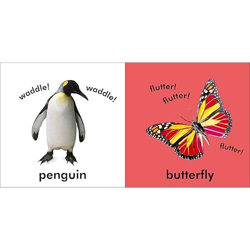 Baby Touch and Feel: Animals Board book – January 21, 2008