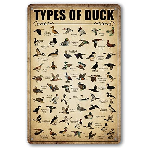 Type Of Duck Tin Sign Duck Hunting Decor Mallard Ducks Knowledge Metal Signs Vintage Duck Hunting Decorations For Home Kitchen Bathroom Duck Wall Art Decor Poster 8 x 12 Inch (Duck)