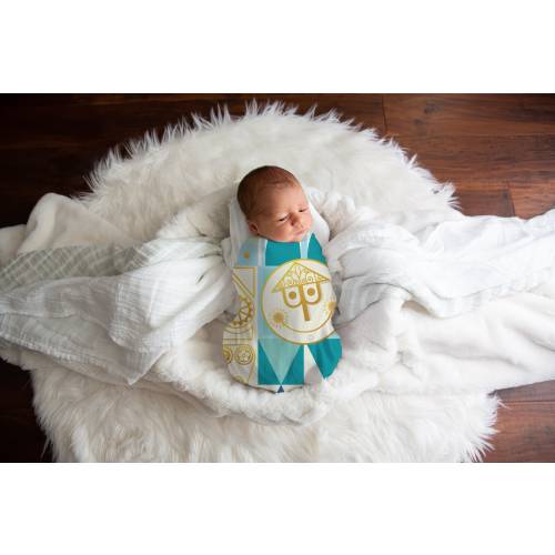 It's a Small World Disney Swaddle Blanket, Newborn photo Prop, Baby Girl Baby Shower Gift, Disney Baby Blanket, Baby Boy Gender Reveal Prop