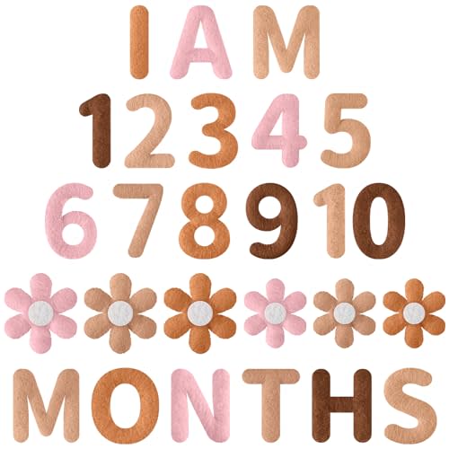 Tingjoo 26 Pcs Boho Felt Baby Monthly Milestone Decor Felt Numbers and Letters Newborn Photography Props Baby Monthly Milestone Sign Newborn Gift for Girl and Boy