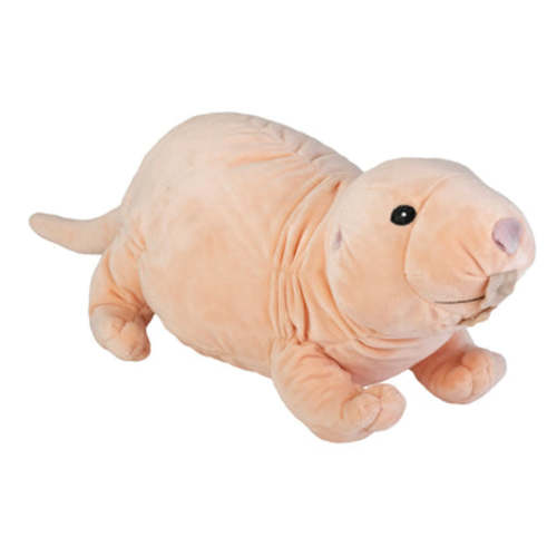 Wild Republic&nbsp;Cuddlekins Eco Naked Mole Rat Stuffed Animal - – Wild Republic