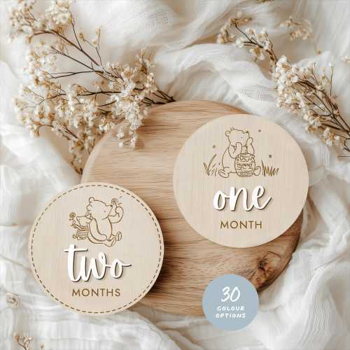 Winnie the Pooh Milestone Baby Classic Winnie the Pooh Nursery Monthly Milestone Frame Winnie the Pooh baby shower Neutral Milestone Cards