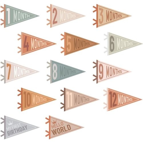 14 Pcs Baby Felt Pennant Milestone Signs Monthly Milestone Banner Flags Pennant Triangle Banner Age Milestone Flag Signs for Boy Girl Newborn Birthday Party Decor(Assorted Colors)