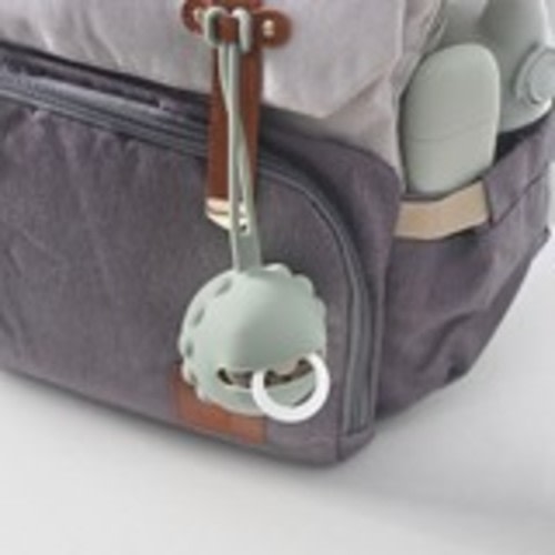Little Rawr Pacifier Case Lion - Sage | Dummies | Baby Bunting AU