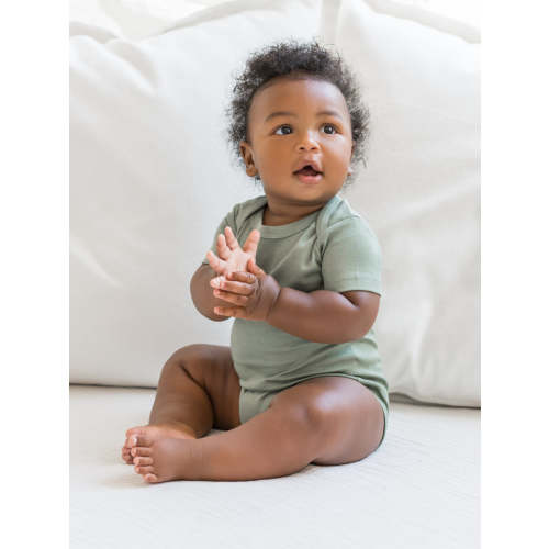 Thyme / 3-6M