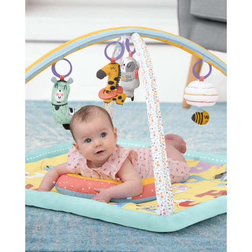 Skip Hop Activity Gym