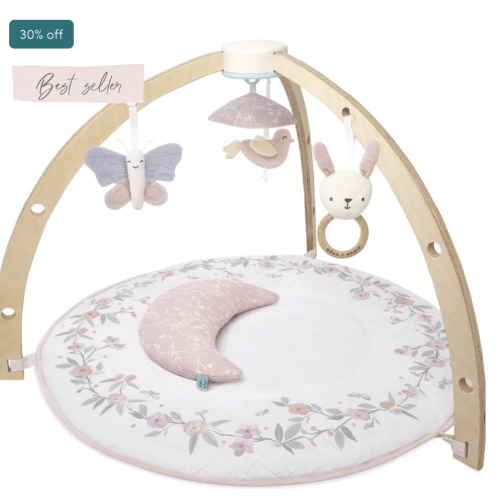 Baby Gym | Premium Baby Activity Gym | aden + anais