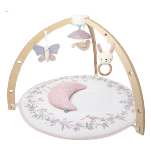 aden + anais Premium Baby Activity Gym