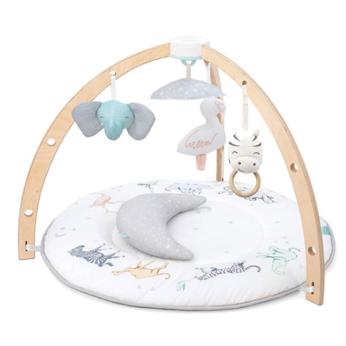 aden + anais Play and Discover Baby Activity Gym – 30+ Developmental Benefits - 3 Attachable Toys + Plush Tummy Time Pillow – 100% Cotton Muslin – Machine Washable
